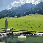 Апартаменты Haus Enzian *