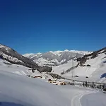 Апартаменты Haus Enzian Миттерзилль