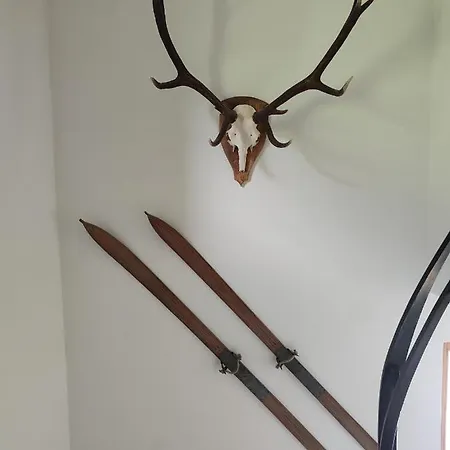 Haus Enzian Mittersill