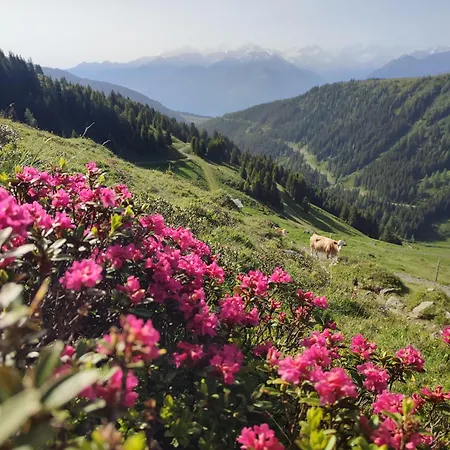 Lejlighed Haus Enzian