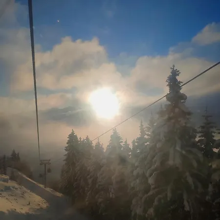 Lejlighed Haus Enzian