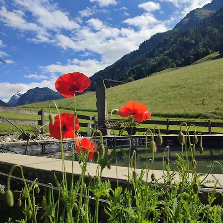 Lejlighed Haus Enzian *