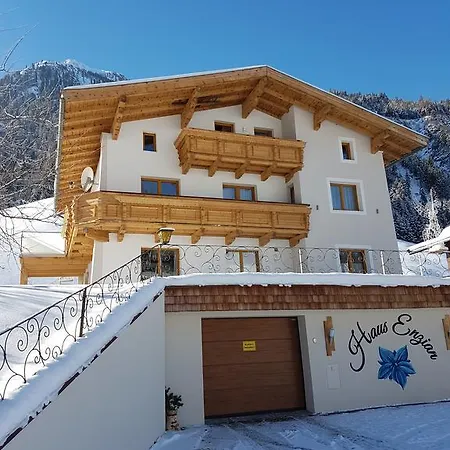 Haus Enzian Apartment Mittersill