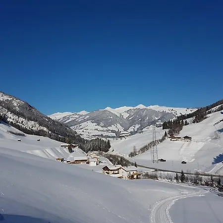 Lejlighed Haus Enzian Mittersill