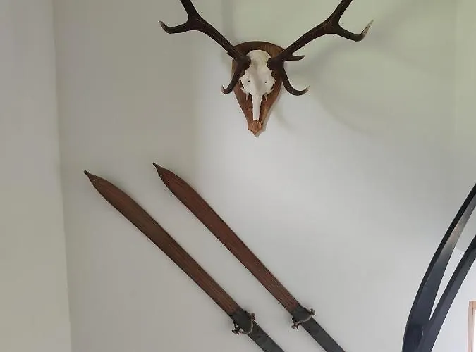 Haus Enzian 미테르질