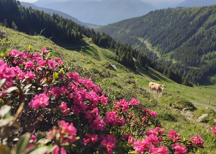 아파트 Haus Enzian