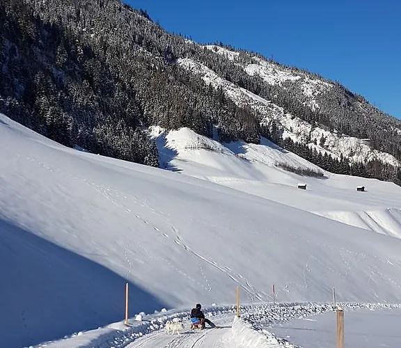 아파트 Haus Enzian 미테르질